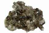 Dark Smoky Quartz Crystal Cluster - Brazil #124605-1